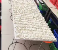 冬至來臨，公司員工一起來包＂扁食＂